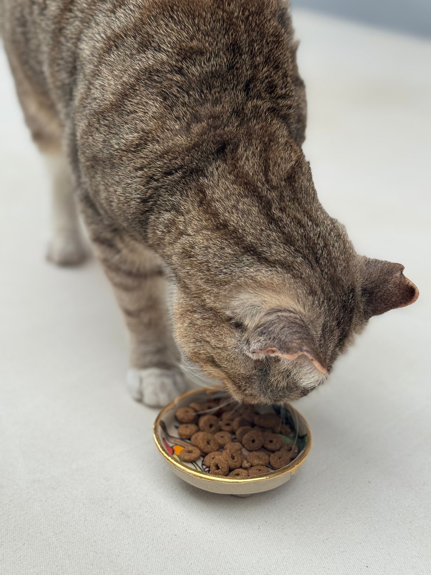 Whisker Dish - Little Tabby (Small)