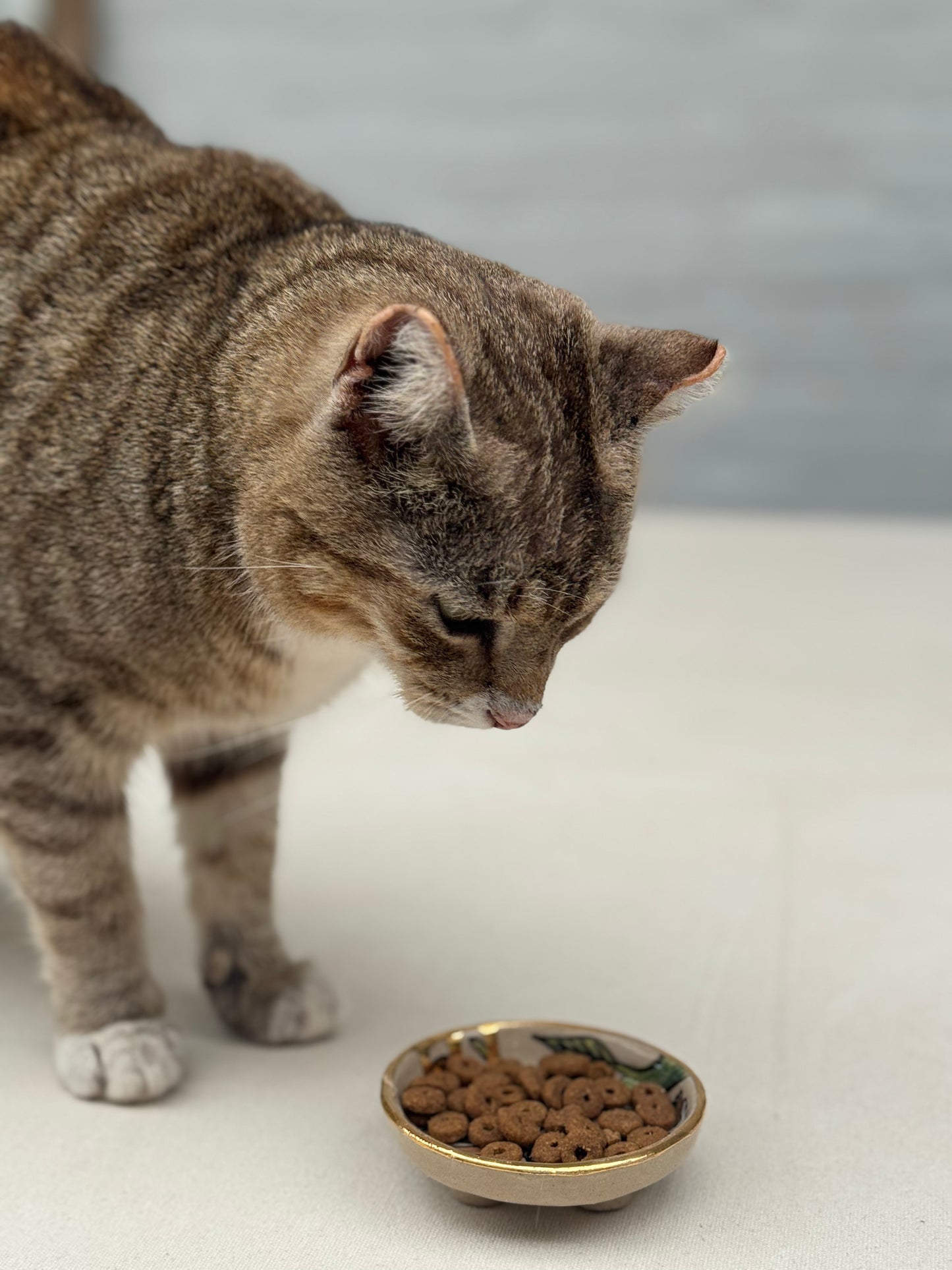Whisker Dish - Little Tabby (Small)