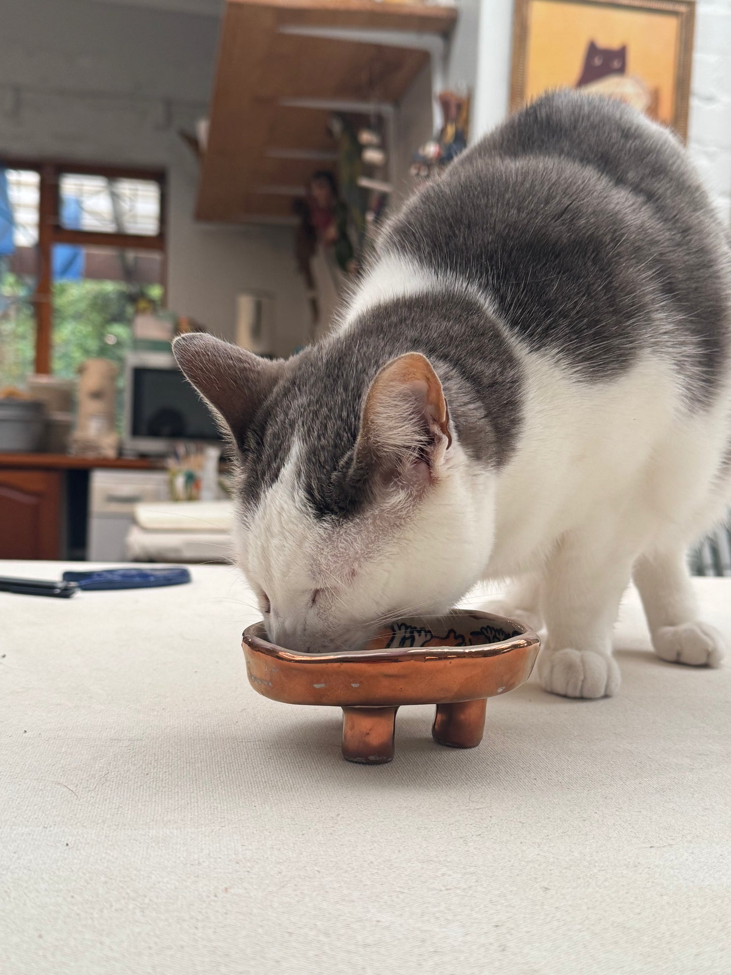 Whisker Dish - Grey Arch (Medium)