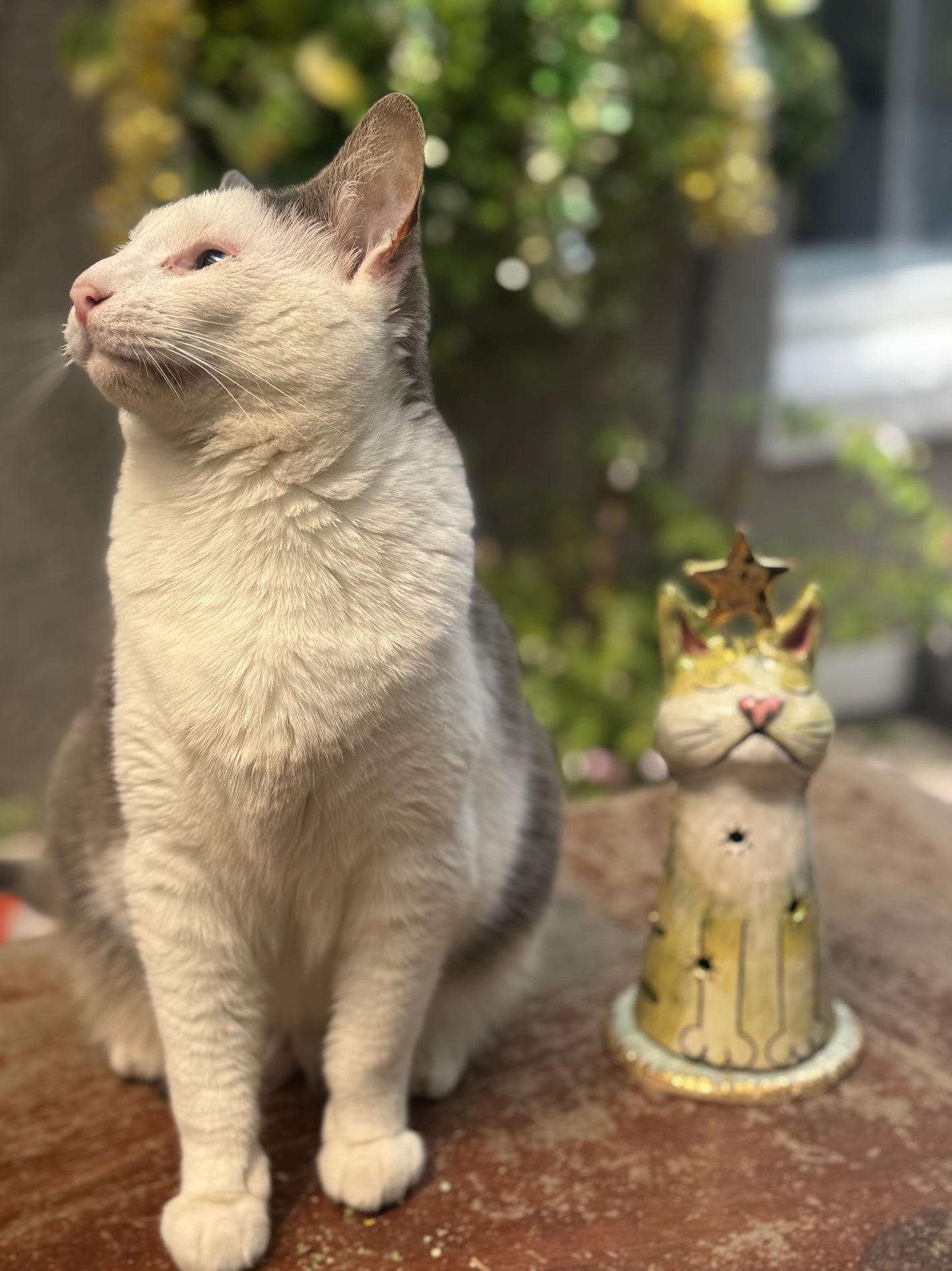 Medium Christmas Cat Tree – Klaus Edition with Gold (Limited Edition)