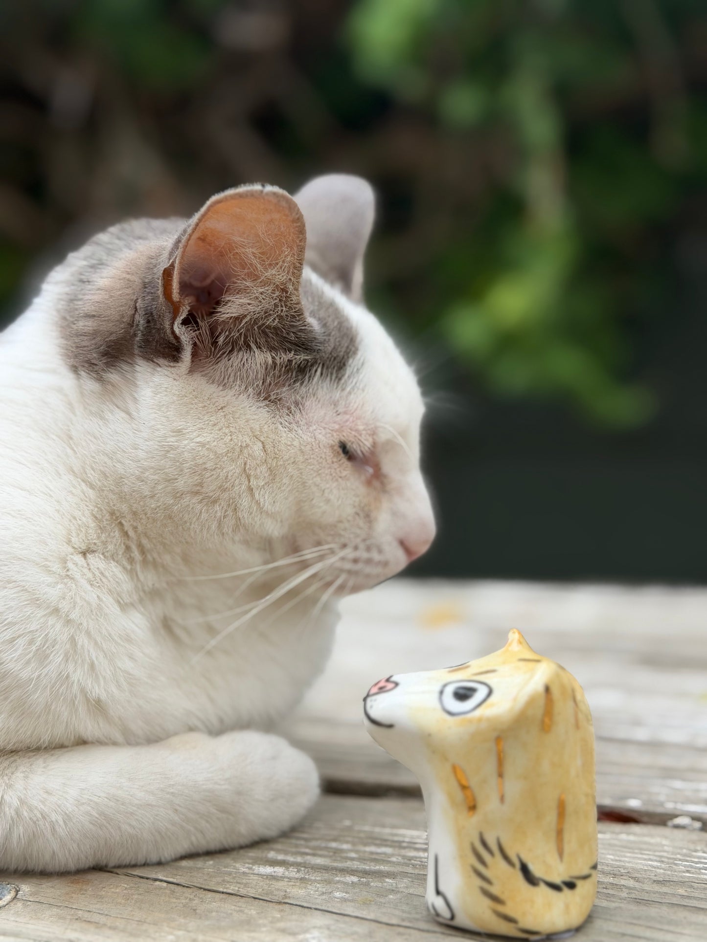 Small Roux Blob – Tiny Ears Blob Dog with Gold