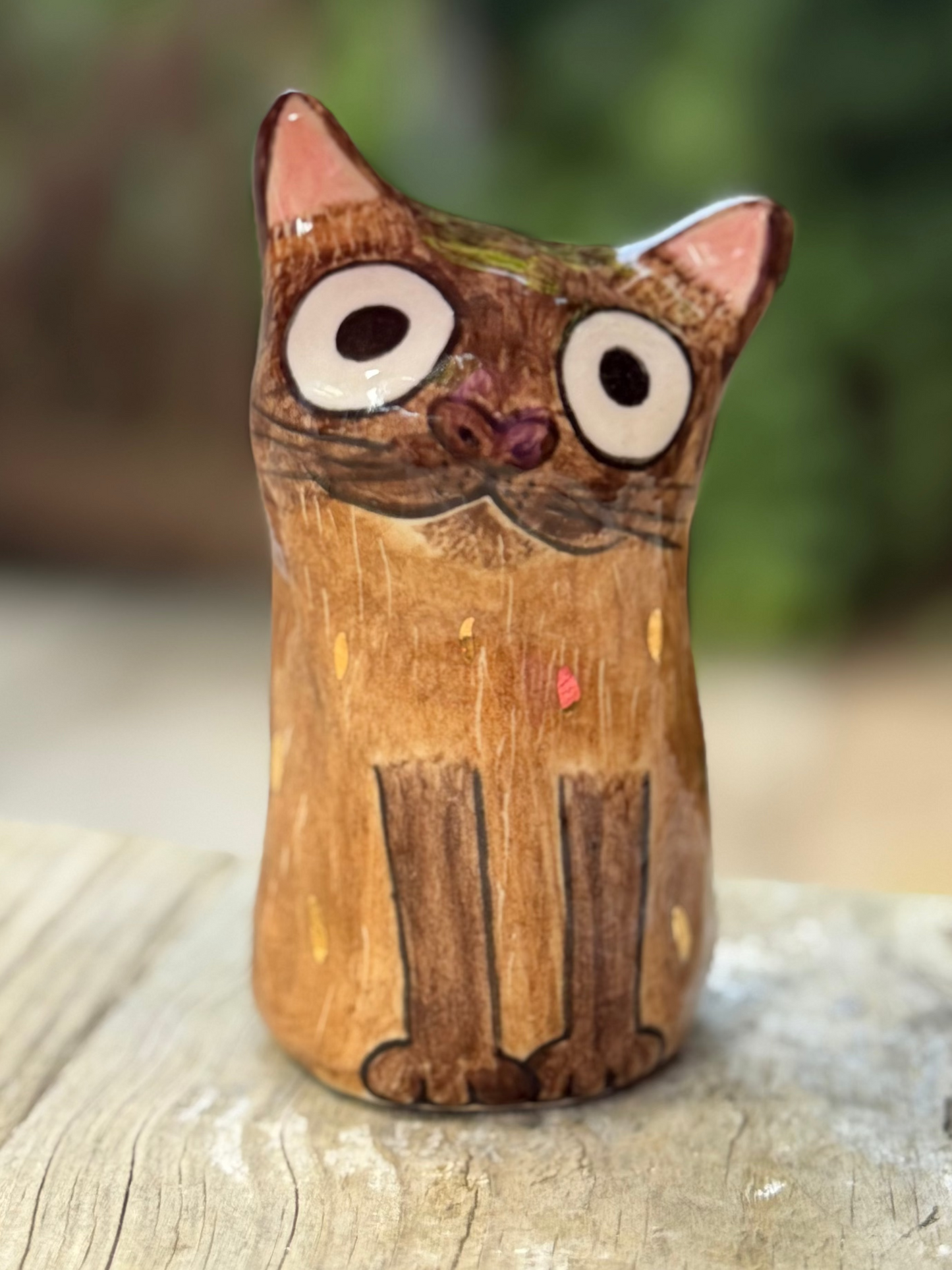 Yuki Blob – The Vocal Burmese Lovebug (Medium)